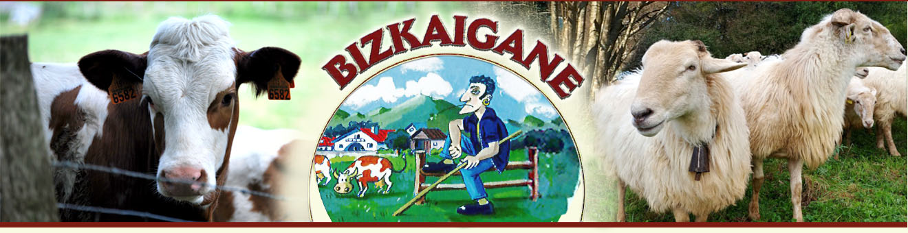 Bizkaigane